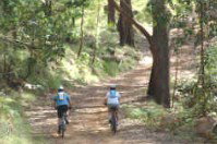 Craigmhor Mountain Retreat - Accommodation Australia 2