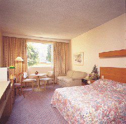 Country Comfort Armidale - Accommodation Australia 3