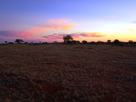 Wogarno Homestead - Accommodation Australia 0