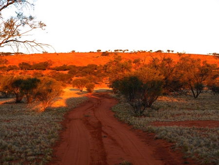 Wogarno Homestead - Accommodation Australia 1