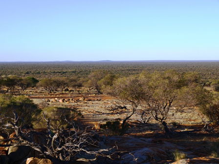 Wogarno Homestead - Accommodation Australia 2