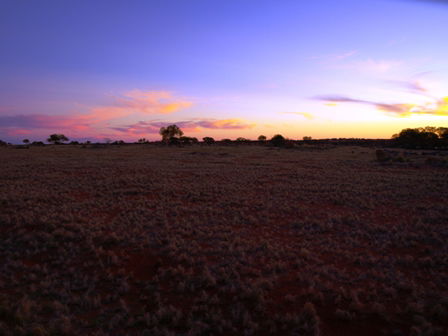 Wogarno Homestead - Accommodation Australia 4