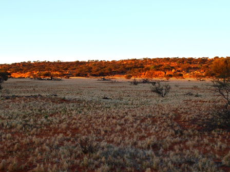 Wogarno Homestead - Accommodation Australia 5