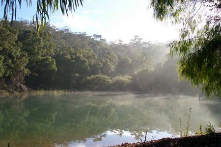 Karri Valley Chalets - Accommodation Australia 2