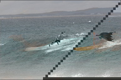 Spot X - Local Tourism 2