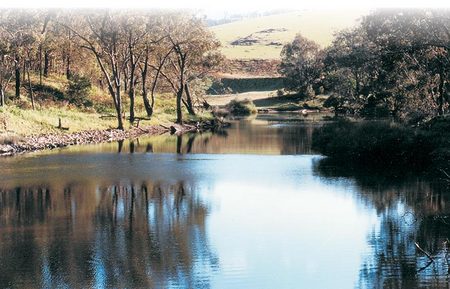 Bridgetown Riverside Chalets - Local Tourism 2