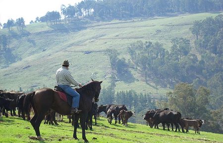 Bridgetown Riverside Chalets - Local Tourism 3