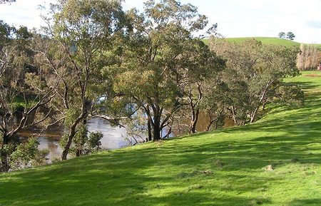 Bridgetown Riverside Chalets - Local Tourism 4