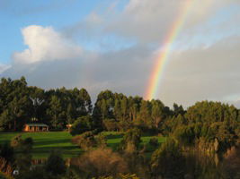 Pemberton Lavender And Berry Farm Cafe And Cottages - Australia Shopping 3