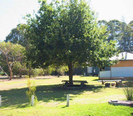Pemberton Forest Stay - Australia Shopping 3