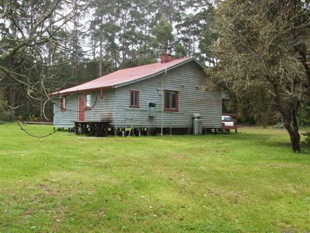 Pemberton Forest Stay - Australia Shopping 5