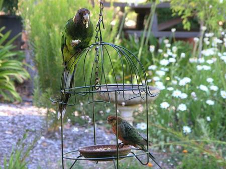 Glenhaven Bed And Breakfast - Local Tourism 1