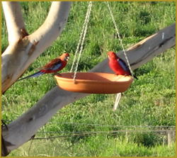 Henlie Park Bed & Breakfast - Australia Shopping 3