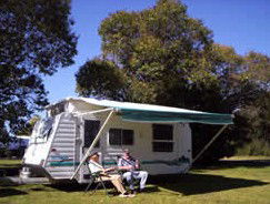 Bega Caravan Park - Local Tourism 1