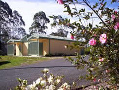Bega Caravan Park - Local Tourism 5