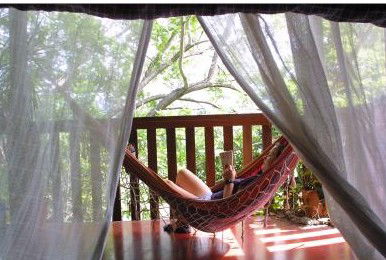 Bellingen YHA Hostel - Local Tourism 1