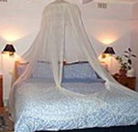 Bondi Beach Garden Sweet - Accommodation Australia