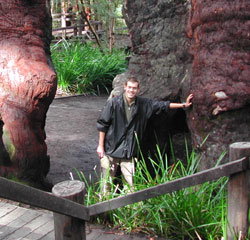 Walpole Lodge - Accommodation Australia 0