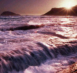 Walpole Lodge - Accommodation Australia 1