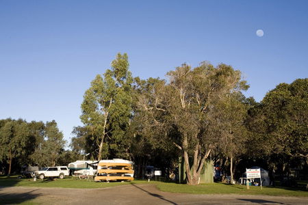 Molloy Caravan Park - Accommodation Australia 1