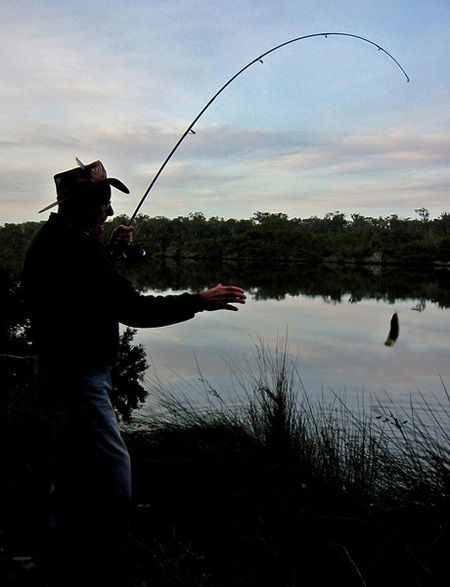 Molloy Caravan Park - Accommodation Australia 5