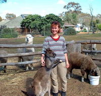 Kemminup Farm - Local Tourism