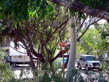 Kojonup Caravan Park - Accommodation Australia 1