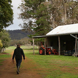 Bolganup Homestead - Accommodation Australia 2