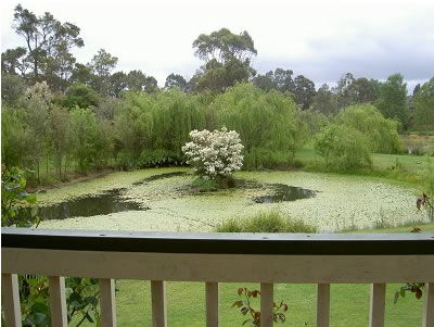 Moss Brook Bed And Breakfast - Accommodation Australia 1