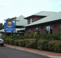 Tree Top Walk Motel - Local Tourism