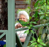 Pemberton Caravan Park - Australia Shopping