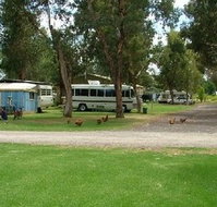 Harvey Rainbow Caravan Park - Local Tourism