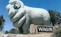 Wagin Motel - Accommodation Australia 0