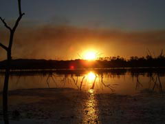 Town Caravan Park - Local Tourism 2