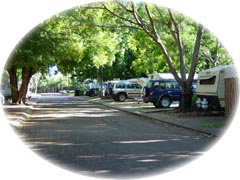 Town Caravan Park - Local Tourism 5