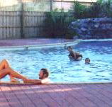 Shark Bay Caravan Park - Local Tourism