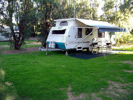Dongara Tourist Park - Local Tourism 3
