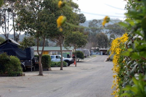 Albury All Seasons Tourist Park - Accommodation Australia 0