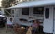 Albury All Seasons Tourist Park - thumb 10