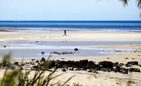 Halcyon Bay - Accommodation Australia 5