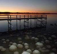 Lake Clifton Caravan Park - Local Tourism