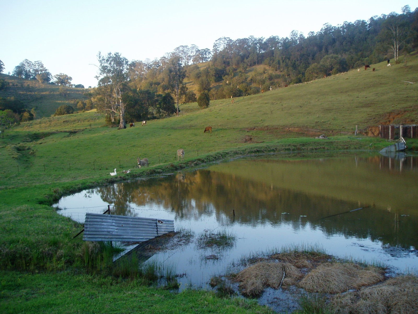 Bucca Wauka NSW Local Tourism