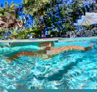 BIG4 Ballina Headlands Holiday Park - Accommodation Australia