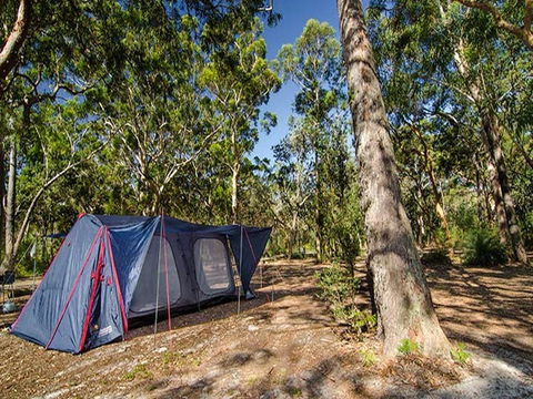Boomeri Campground - Accommodation Australia 1