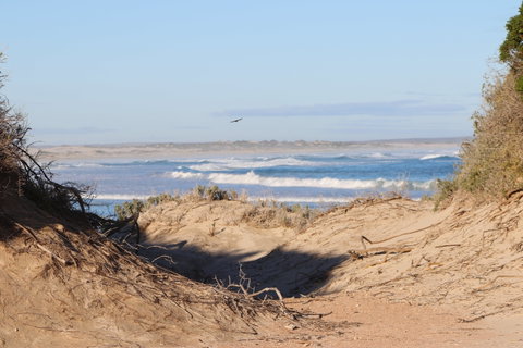 Chadinga Conservation Park Campground - Accommodation Australia 0