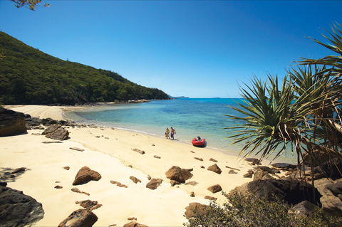 Chance Bay, Whitsunday Island - Accommodation Australia 0