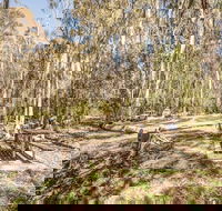 Coree campground - Local Tourism
