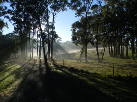 Cygnet Park Country Retreat - Accommodation Australia 2