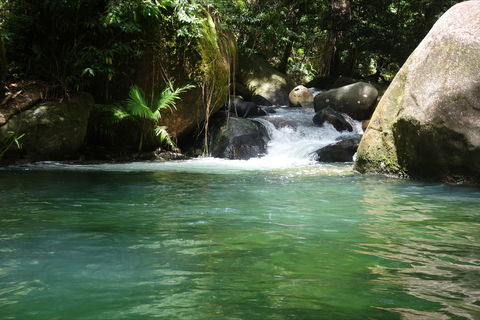 Daintree Secrets Rainforest Sanctuary - Accommodation Australia 0