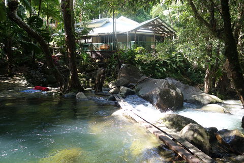Daintree Secrets Rainforest Sanctuary - Accommodation Australia 2